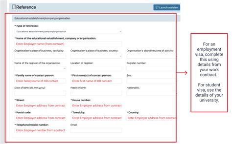 videx germany application form