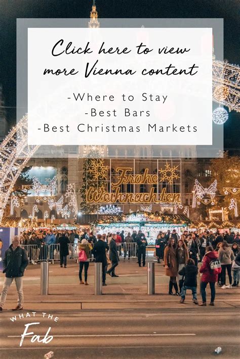 vienna+video+content