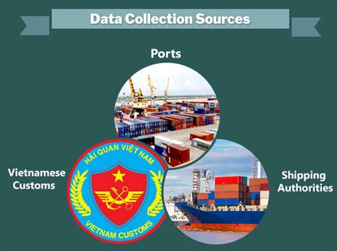 vietnam custom export data