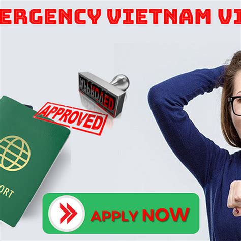 vietnam visa official website reddit