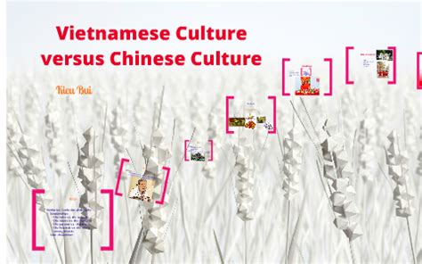 vietnam vs china culture