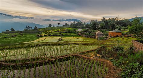 vietnamese countryside