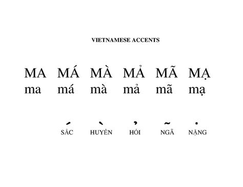 vietnamese language code