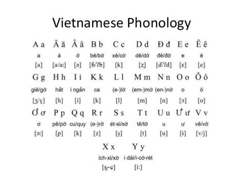vietnamese phonology