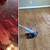 view/how to change color of prefinished hardwood floors