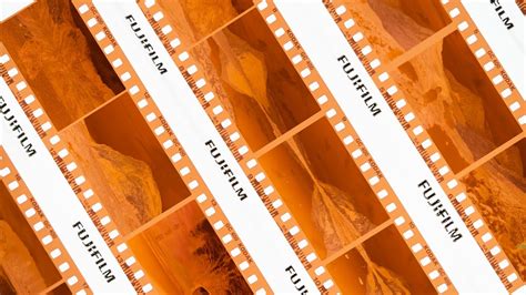 View Camera Negatives