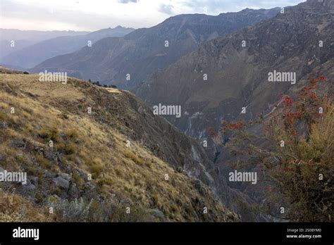view over Colca Canyon
