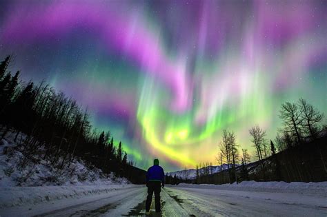viewing aurora borealis in alaska