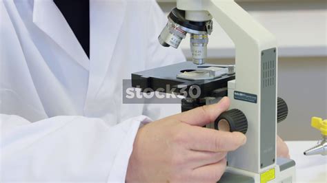 Viewing Specimen In Microscope