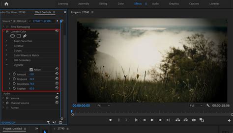 Vignette Definition Computer