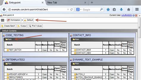 Vikings Data Entry Software