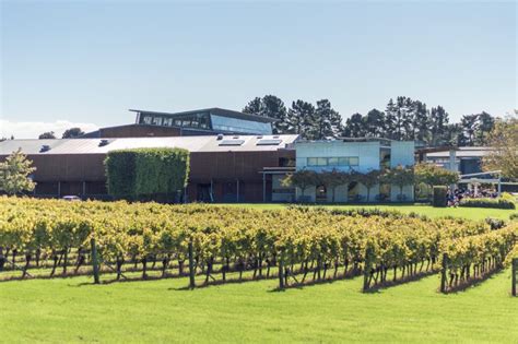 villa maria winery auckland