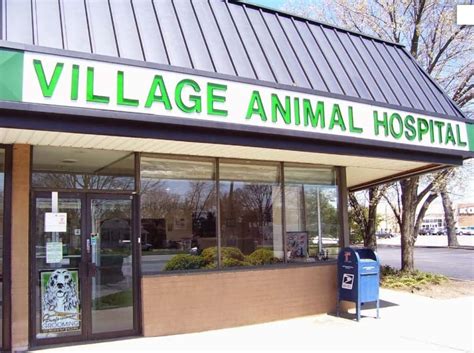 village vet animal hospital