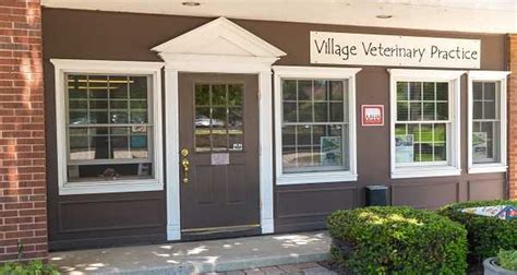 village veterinary clinic western springs