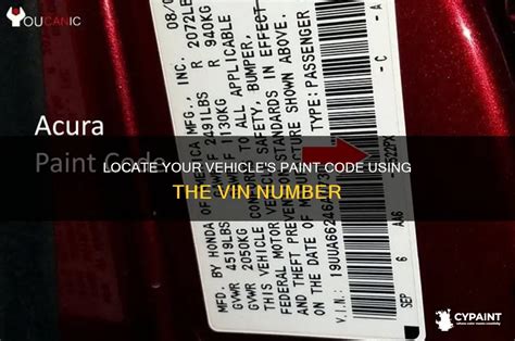 Vin Search Paint Code