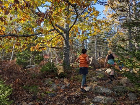 Vinalhaven Land Trust Trails