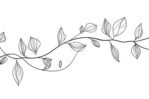 Vine Pattern Drawing
