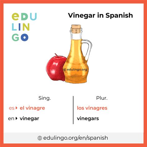 Vinegar Spanish Dictionary