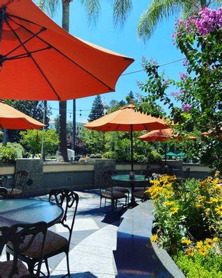 Vines Cafe Sacramento