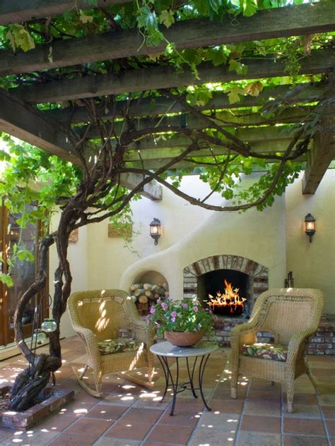 Vines For Patio