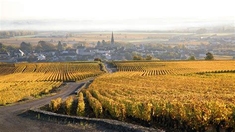 vineyard Beaune France