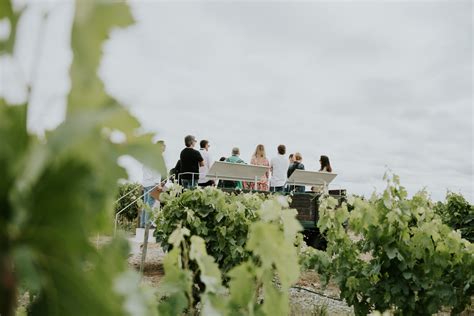 vineyard visit