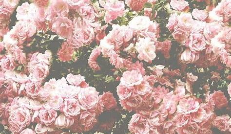 tumblr wallpapers Pesquisa Google Vintage flowers