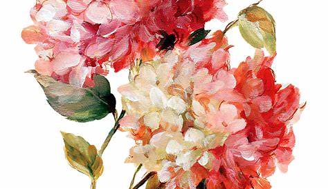 Vintage Watercolor Flowers Transparent Background Pin On Watercolour花组