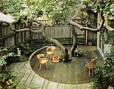 vintage backyard
