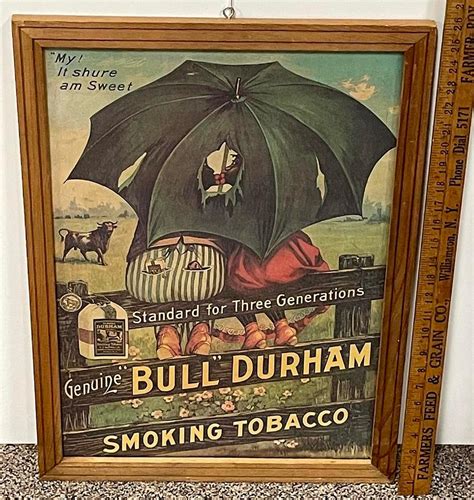 vintage bull durham tobacco poster