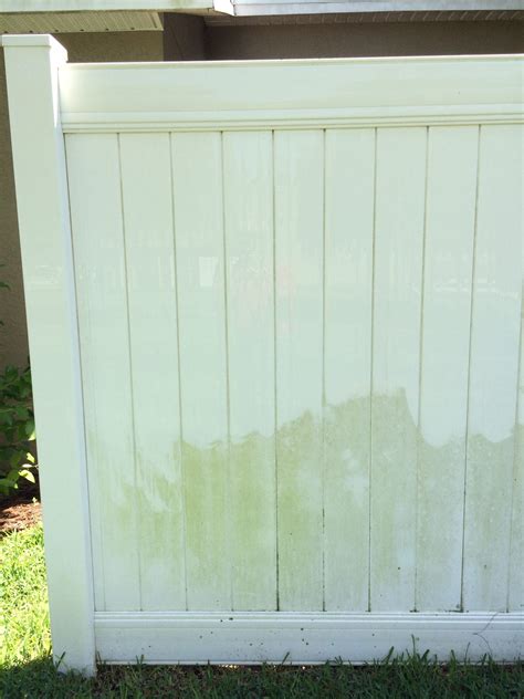 vinyl fence cleaner algae