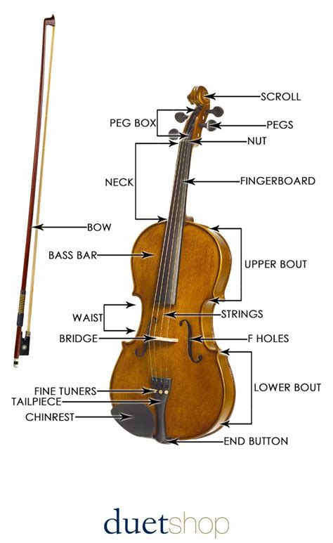 Viol Instrument Information