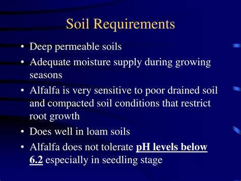 Viola Soil Requirements