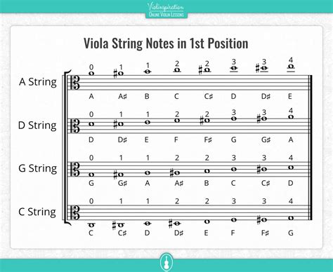 Viola String Scale