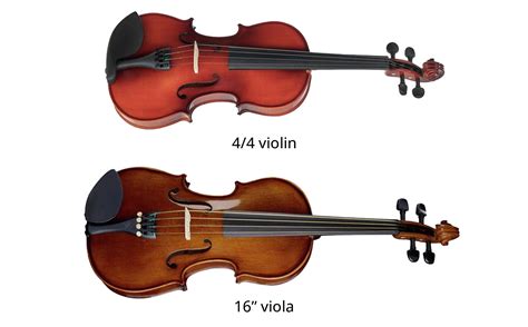 Viola Vs Violin Difference