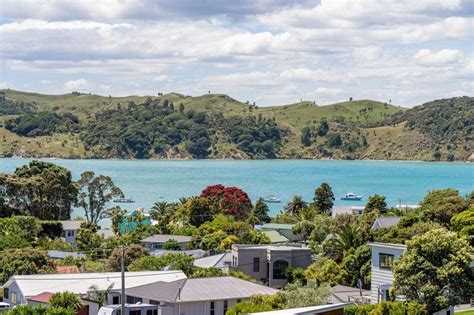Violet Street Raglan