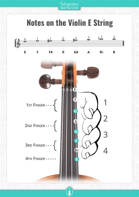 Violin E String Chart
