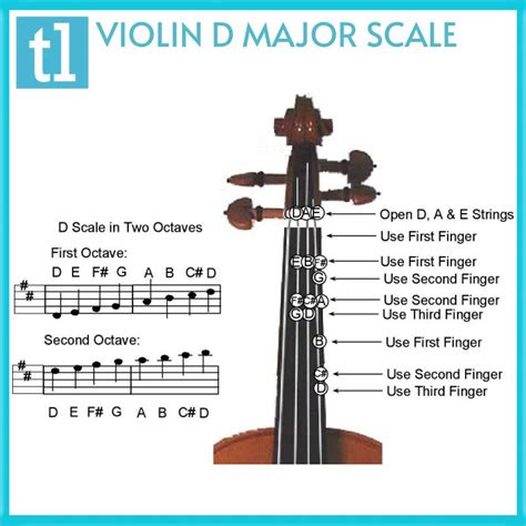 Violin In D Major