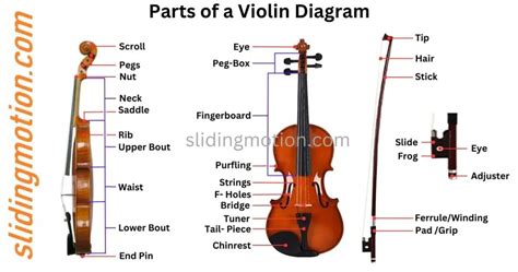 Violin Name Definition