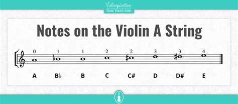 Violin Notes By String