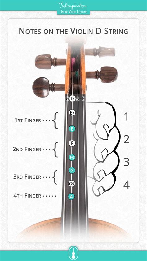 Violin String D