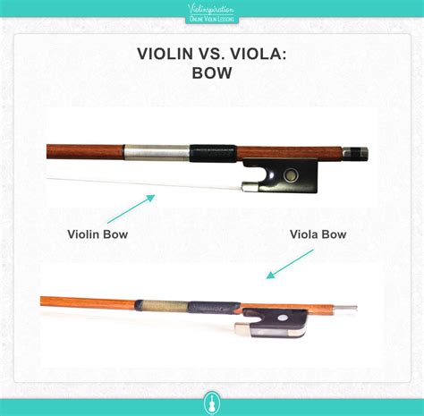 Violin Viola Bow Difference