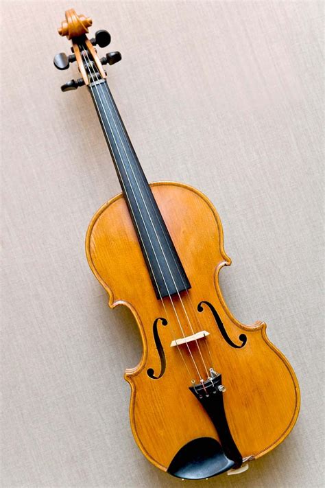 Violins Definition