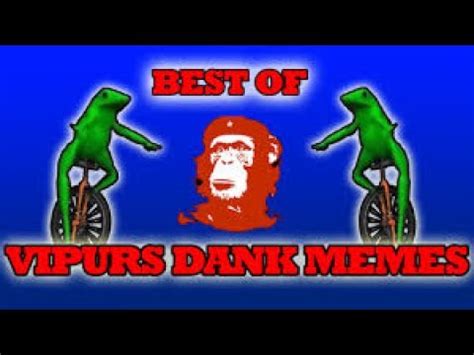Meme Videos I Can Download MEOLOE