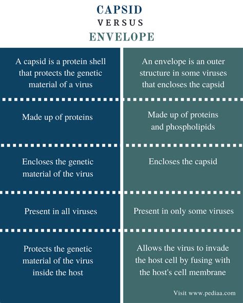 Viral Envelope Vs Capsid