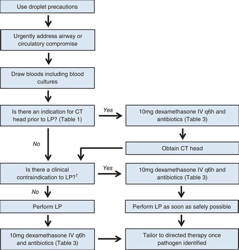 viral meningitis treatment guidelines