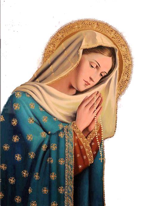 virgen maria en png