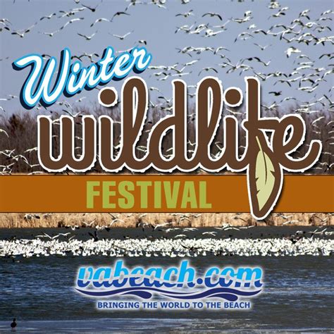 Winter Wildlife Festival City of Virginia Beach
