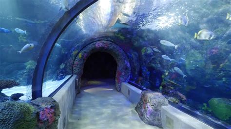 virginia aquarium job openings