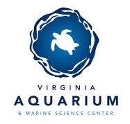 virginia beach aquarium summer camps